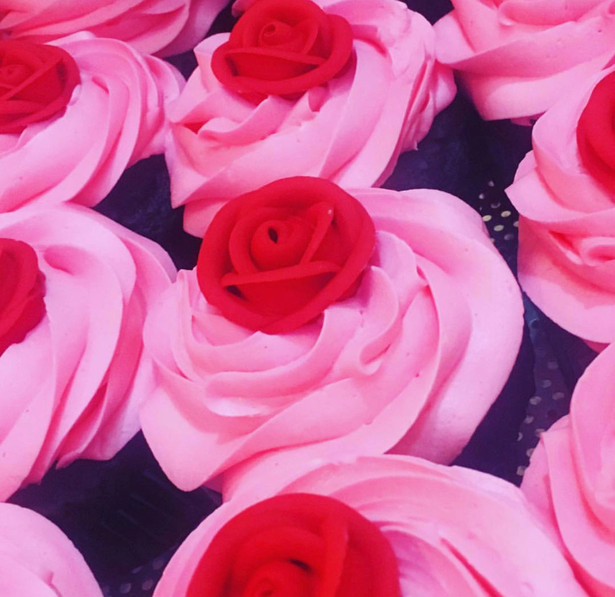 Pink Rose Cupcakes