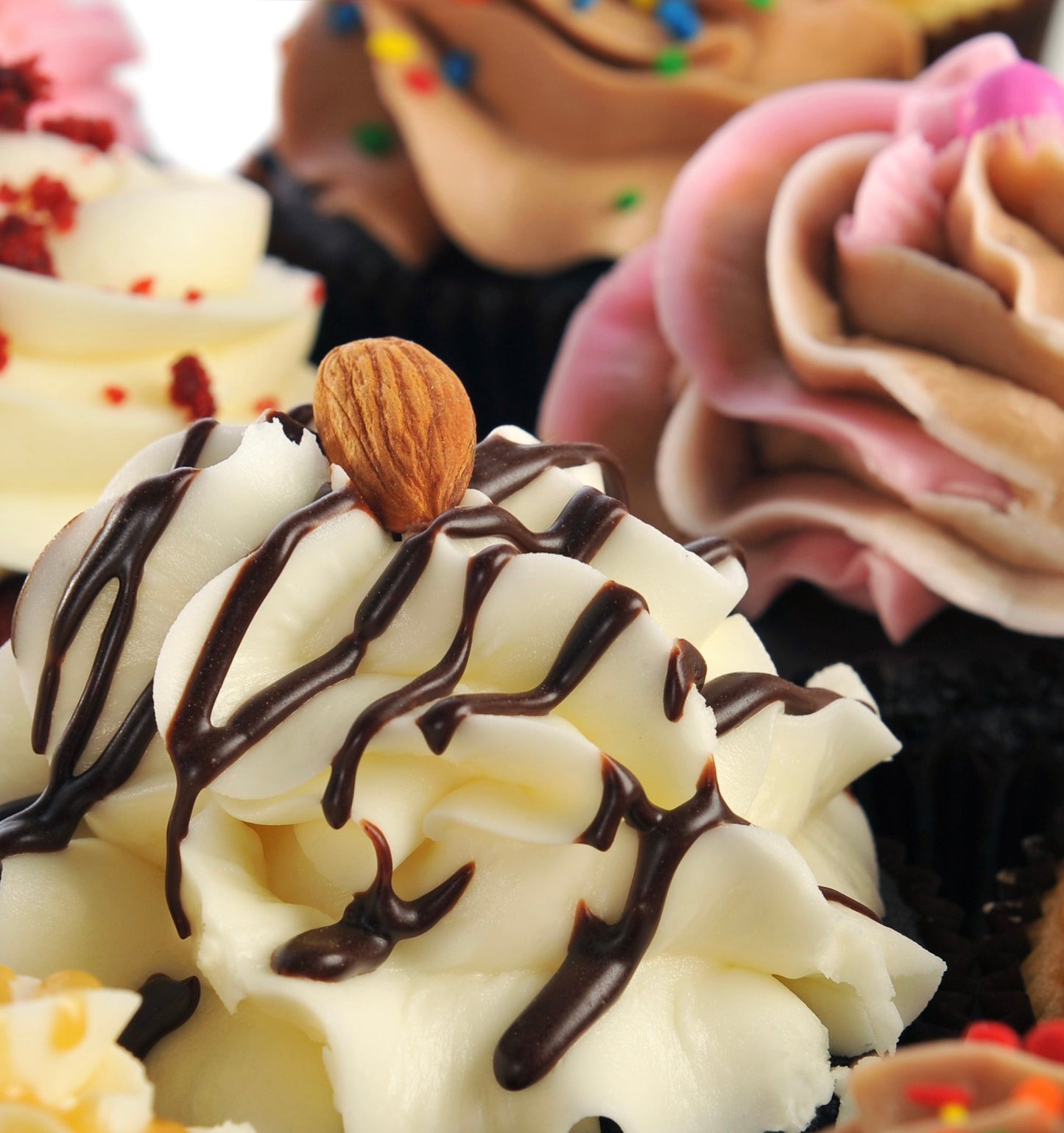 Best Sellers Variety Dozen