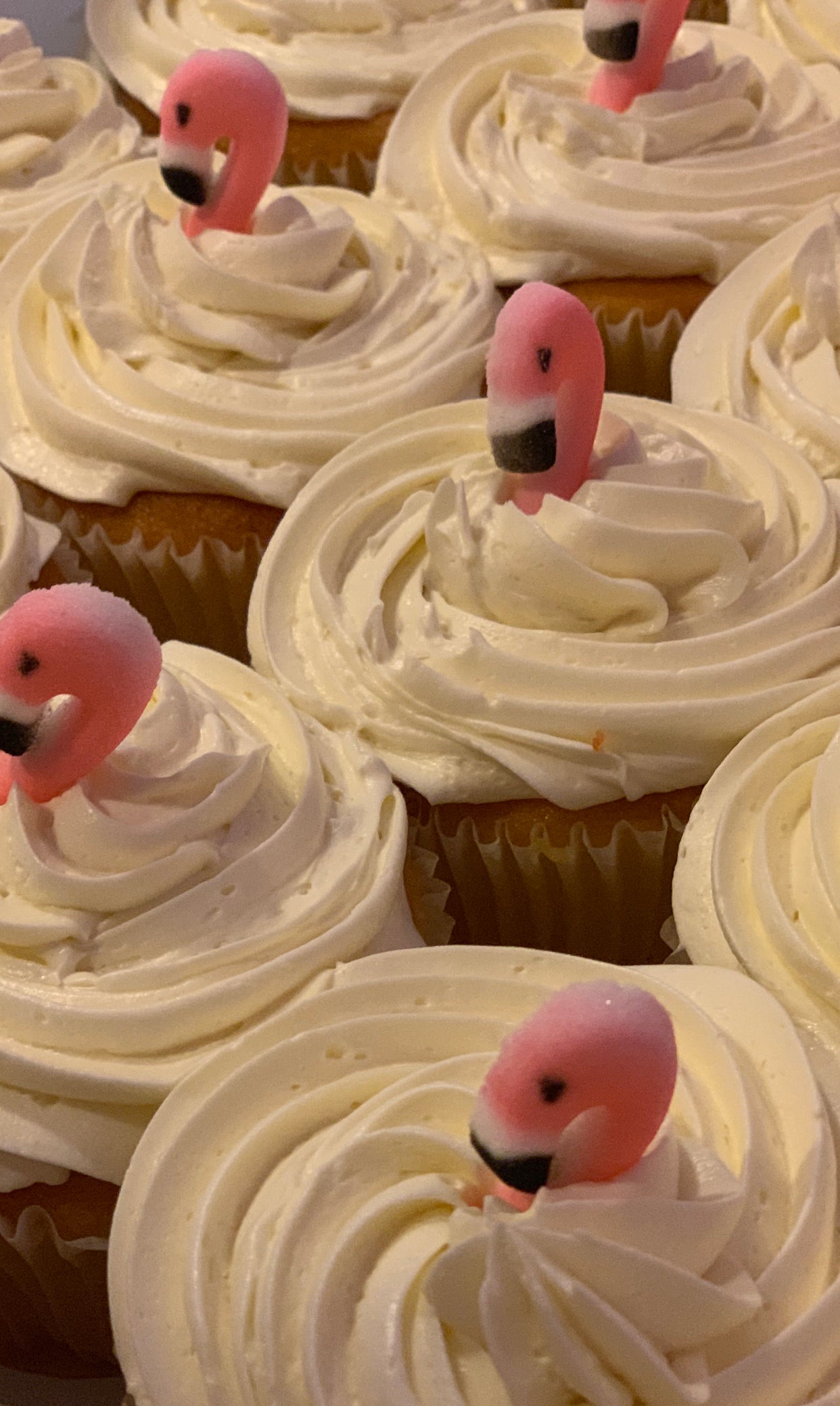 Flamingo Cupcakes