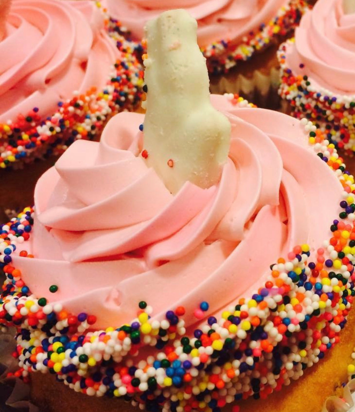 Frosted Animal Cracker