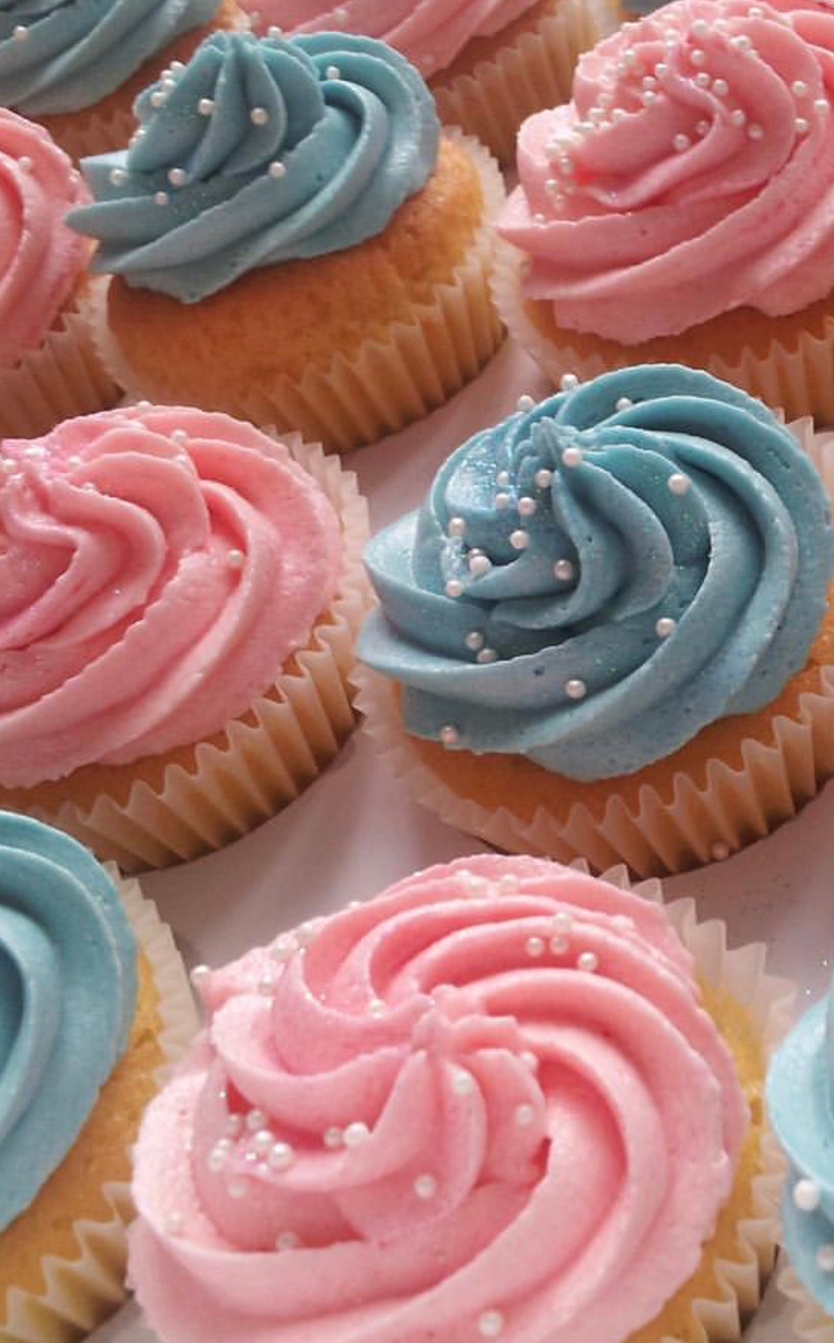 Gender Reveal Cupcakes