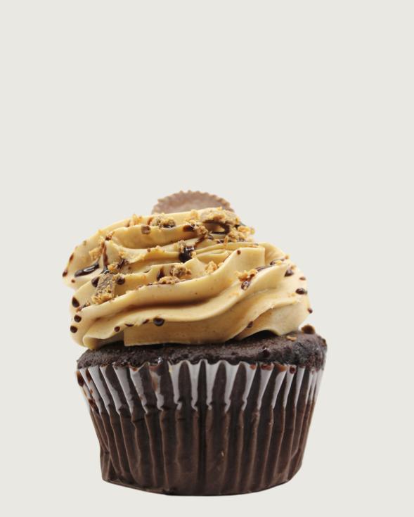 Shop Specialty Cupcakes