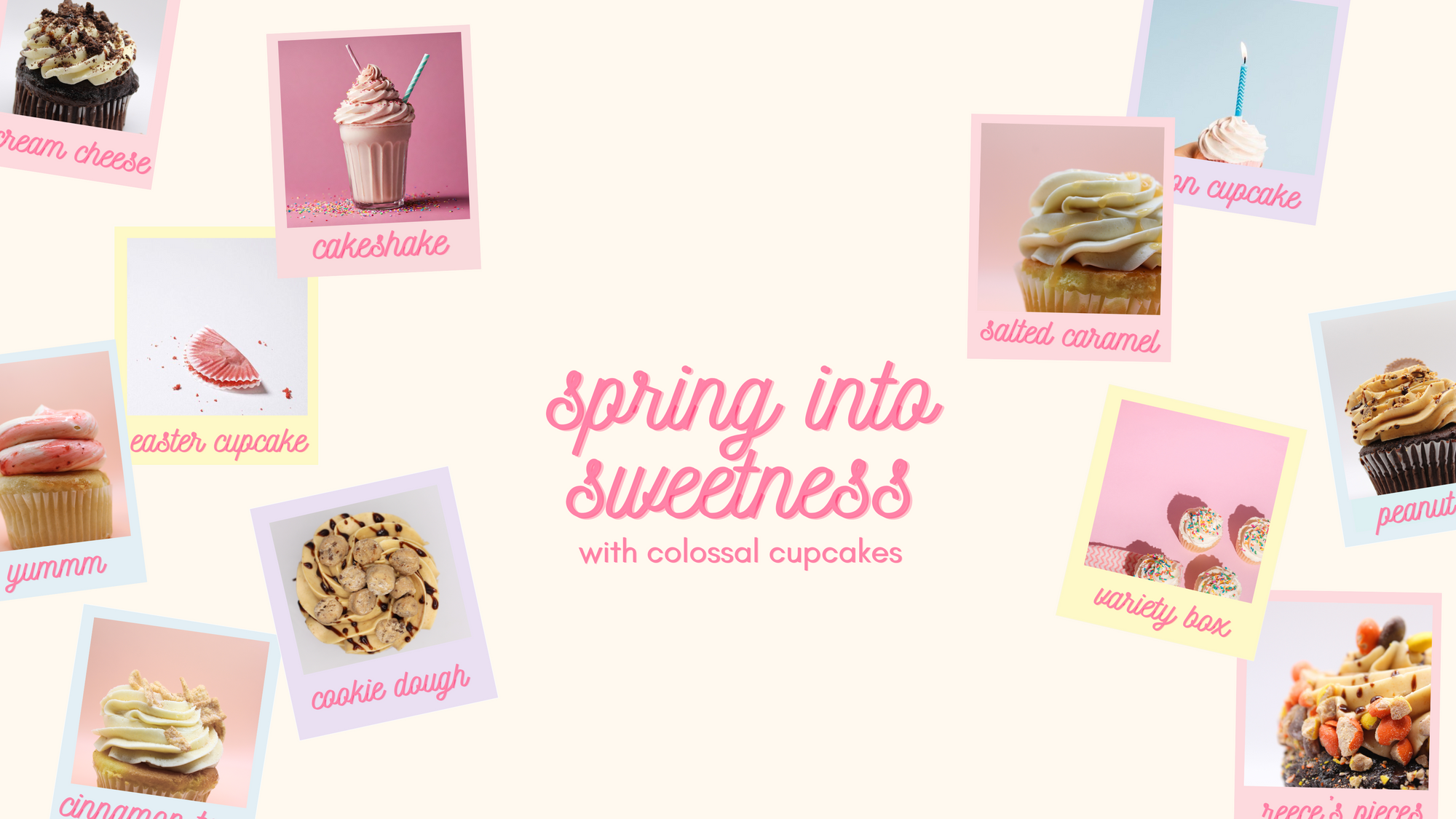 Colossal Bakery Orders – Colossal Cupcakes