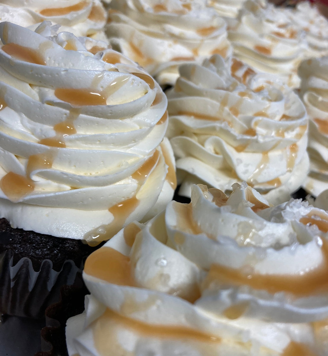 Colossal Bakery Orders – Colossal Cupcakes